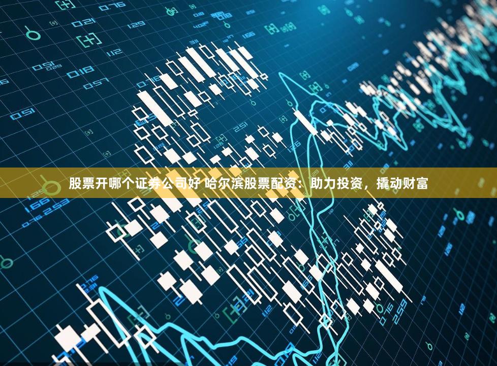 股票开哪个证券公司好 哈尔滨股票配资：助力投资，撬动财富