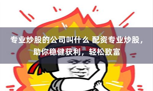 专业炒股的公司叫什么 配资专业炒股，助你稳健获利，轻松致富