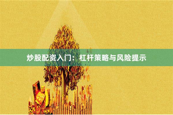 炒股配资入门：杠杆策略与风险提示